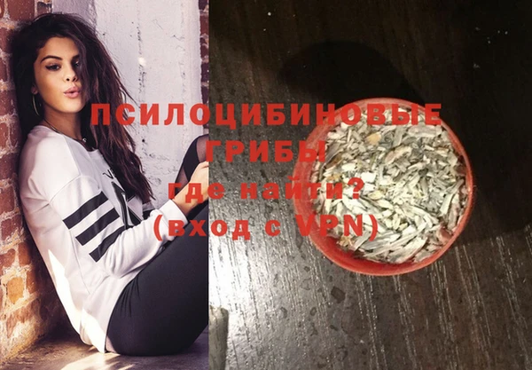 шишки Алексин