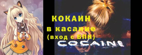 шишки Алексин