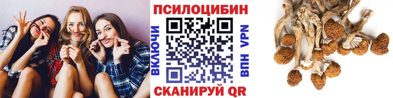 blacksprut зеркало Махачкала Галлюциногенные грибы Magic Shrooms купить наркотики цена