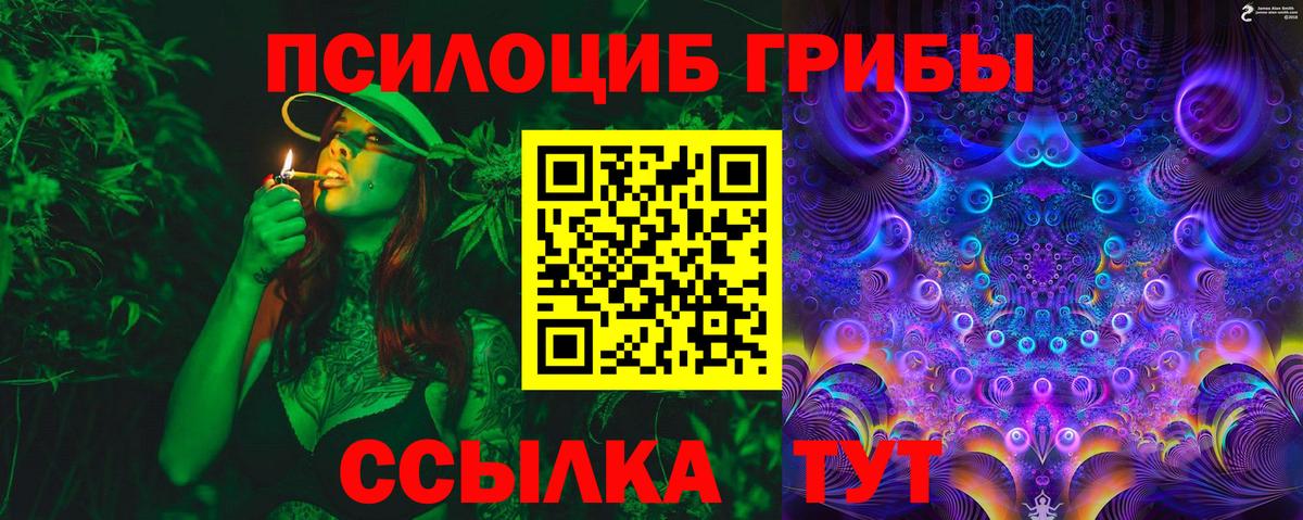 Галлюциногенные грибы мицелий  Вход с VPN  Махачкала  Псилоцибиновые грибы Cubensis 