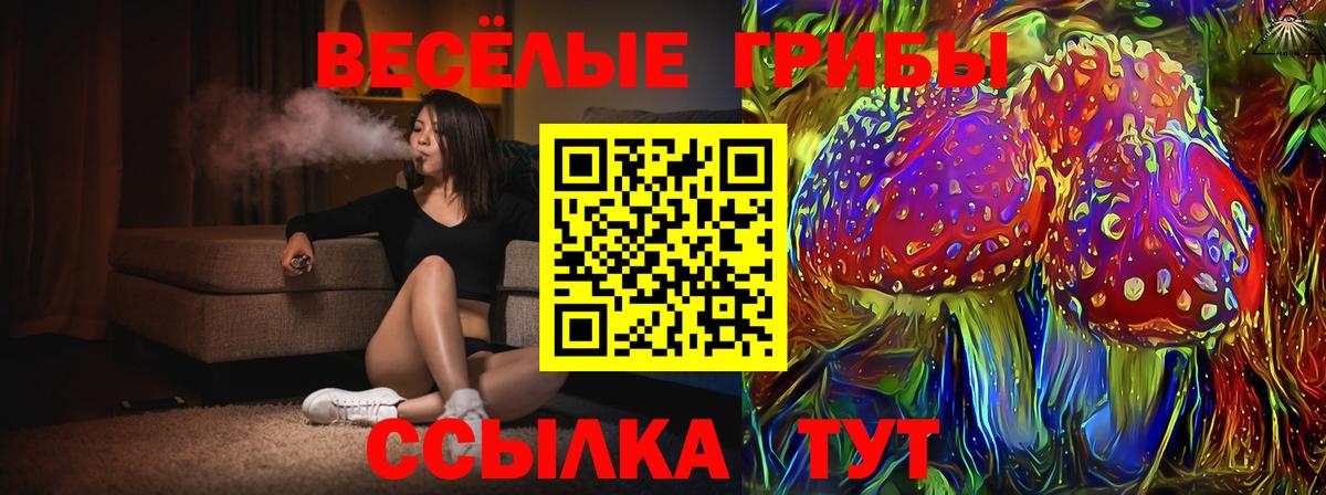Галлюциногенные грибы MAGIC MUSHROOMS Махачкала